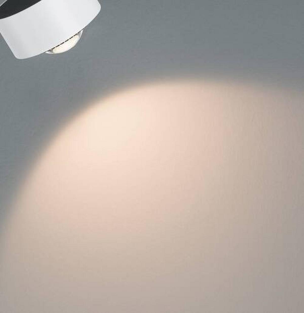 Schienensystem-Strahler Spot Aldan max. 8 Watt - Schwarz/Weiß, Basics, Metall (9,8cm) - Paulmann