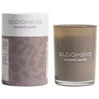 Illatgyertya Libella - szürkésbézs, Üveg/természetes anyagok (8/10,6cm) - Modern Living