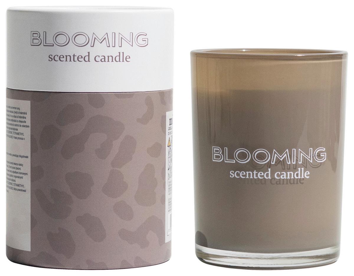 Illatgyertya Libella - szürkésbézs, Üveg/természetes anyagok (8/10,6cm) - Modern Living