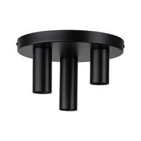 Deckenleuchte Skogen in Schwarz max. 20 Watt - Schwarz, Basics, Metall (24/14,5cm) - Paulmann