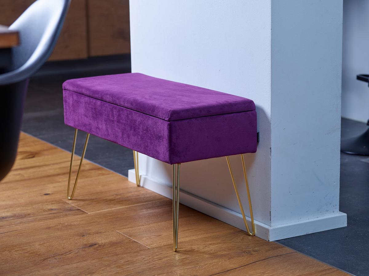 Hockerbank Scarlett Beere Samt mit Stauraum - Beere/Goldfarben, Design, Textil/Metall (75/42/30cm) - Echtwerk
