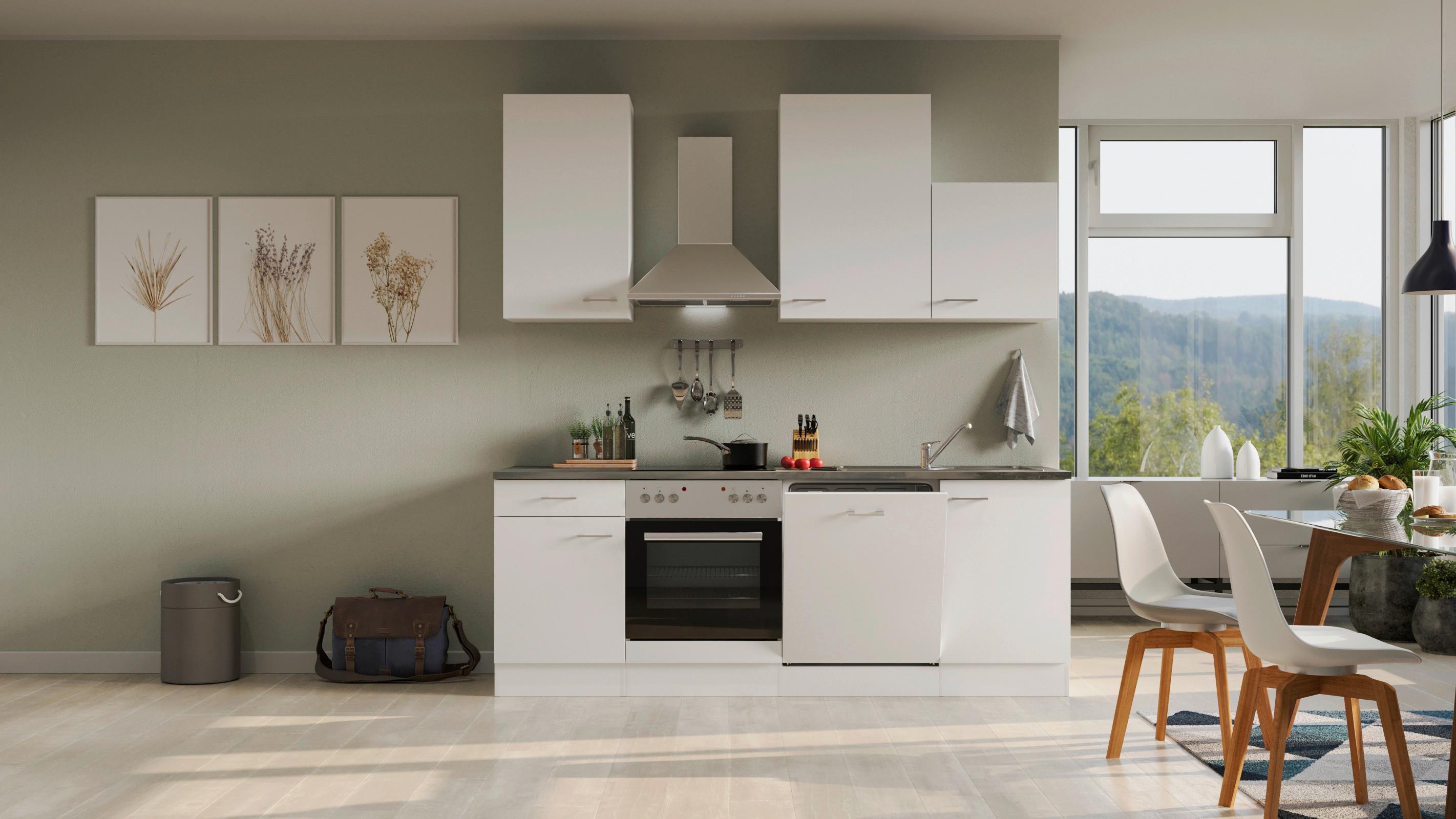 Kuhinjski Blok Lucca - bela/barve aluminija, Moderno, umetna masa/leseni material (220cm) - FlexWell