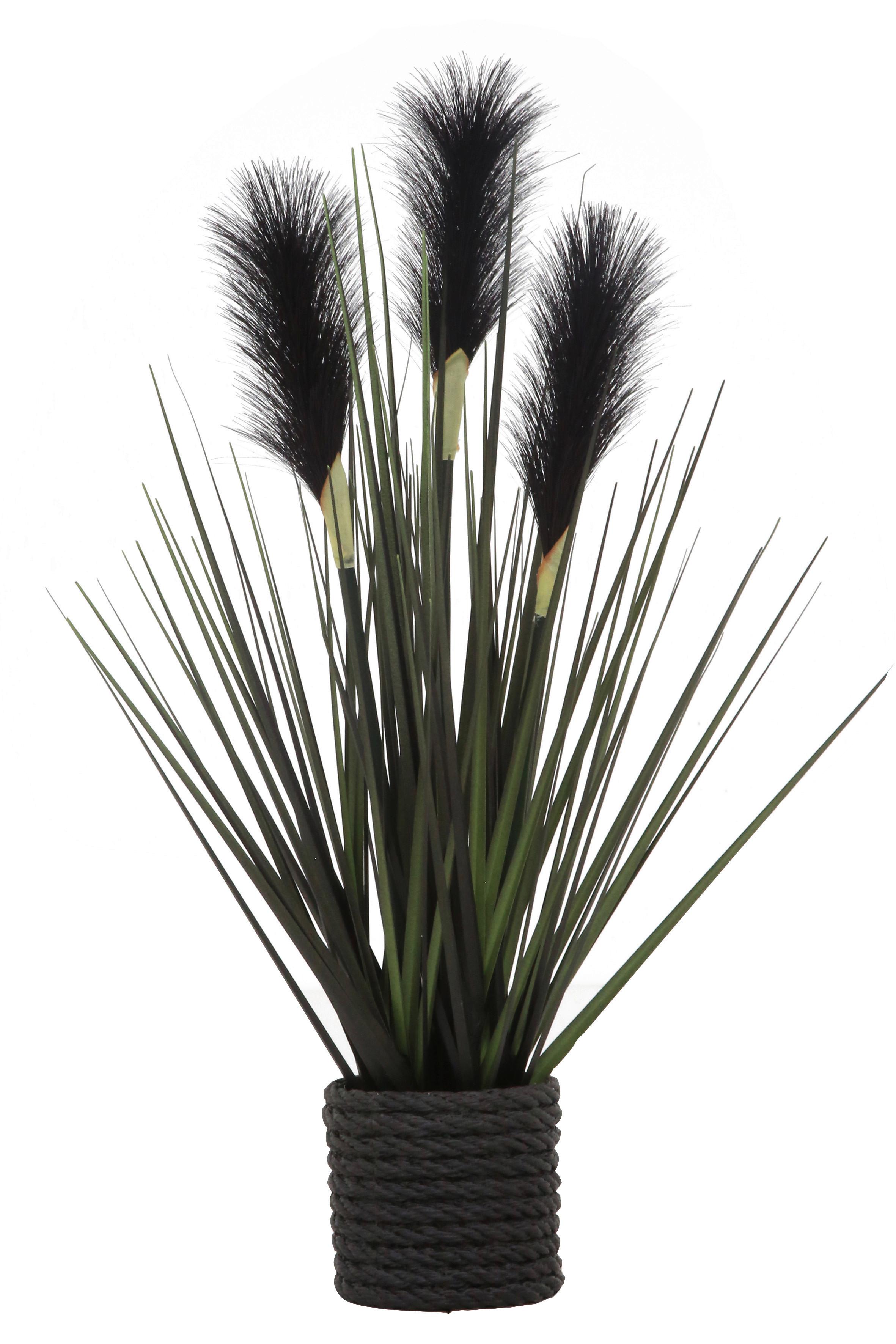 TRAWA DEKORACYJNA 7099-BLK-BLK - czarny, Natur, tworzywo sztuczne/metal (40cm) - Ambia Home