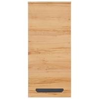 Viseča Omarica Alana - Moderno, leseni material (46,9/103,8/33cm) - Mömax