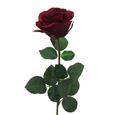 Umetna Rastlina Rose Ii - rdeča/zelena, umetna masa (69cm) - Mömax modern living Umetna Rastlina Rose Ii - rdeča/zelena, umetna masa (69cm) - Mömax modern living
