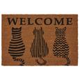Fußmatte Welcome Cats Braun - Braun, Basics, Textil (40/60cm) - Mömax modern living Fußmatte Welcome Cats Braun - Braun, Basics, Textil (40/60cm) - Mömax modern living