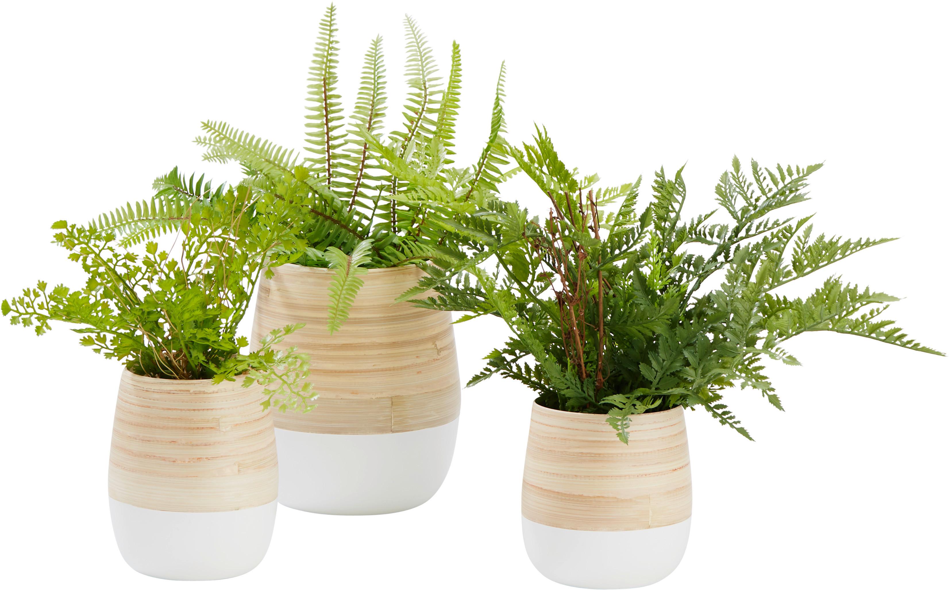 Übertopf Naturelle Ø ca. 12cm - Naturfarben/Weiß, KONVENTIONELL, Naturmaterialien (12/13cm) - Zandiara