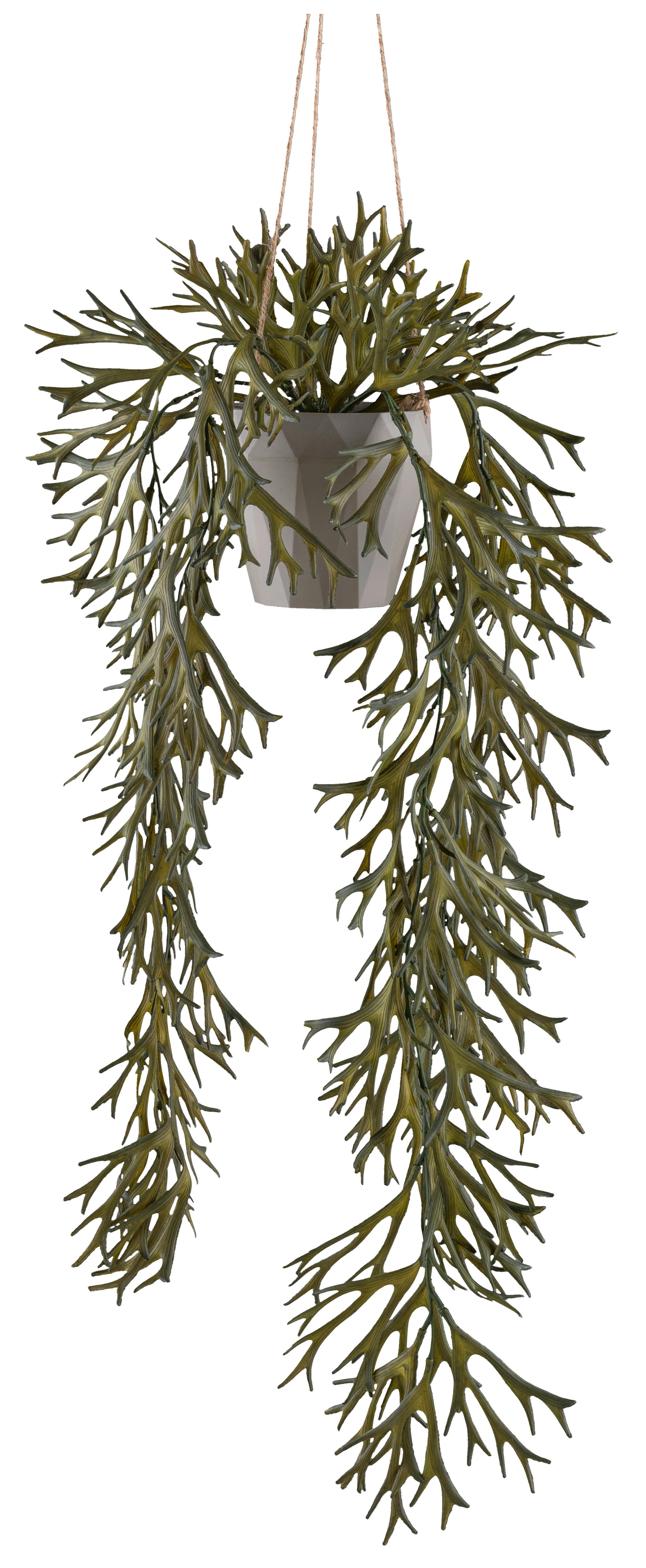 Umetna Rastlina Geweihfarn I - siva/olivno zelena , Konvencionalno, umetna masa (70cm) - Mömax