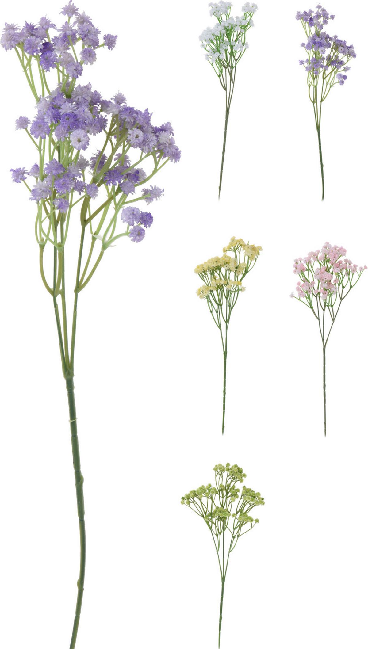 Grana Dekorativna Gypsophilia, V:61cm - Moderno, plastika (61cm)
