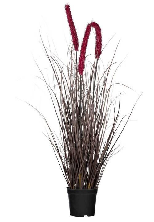 Kunstpflanze Pennisetum I in Aubergine - Aubergine/Schwarz, MODERN, Kunststoff (73cm) - Modern Living