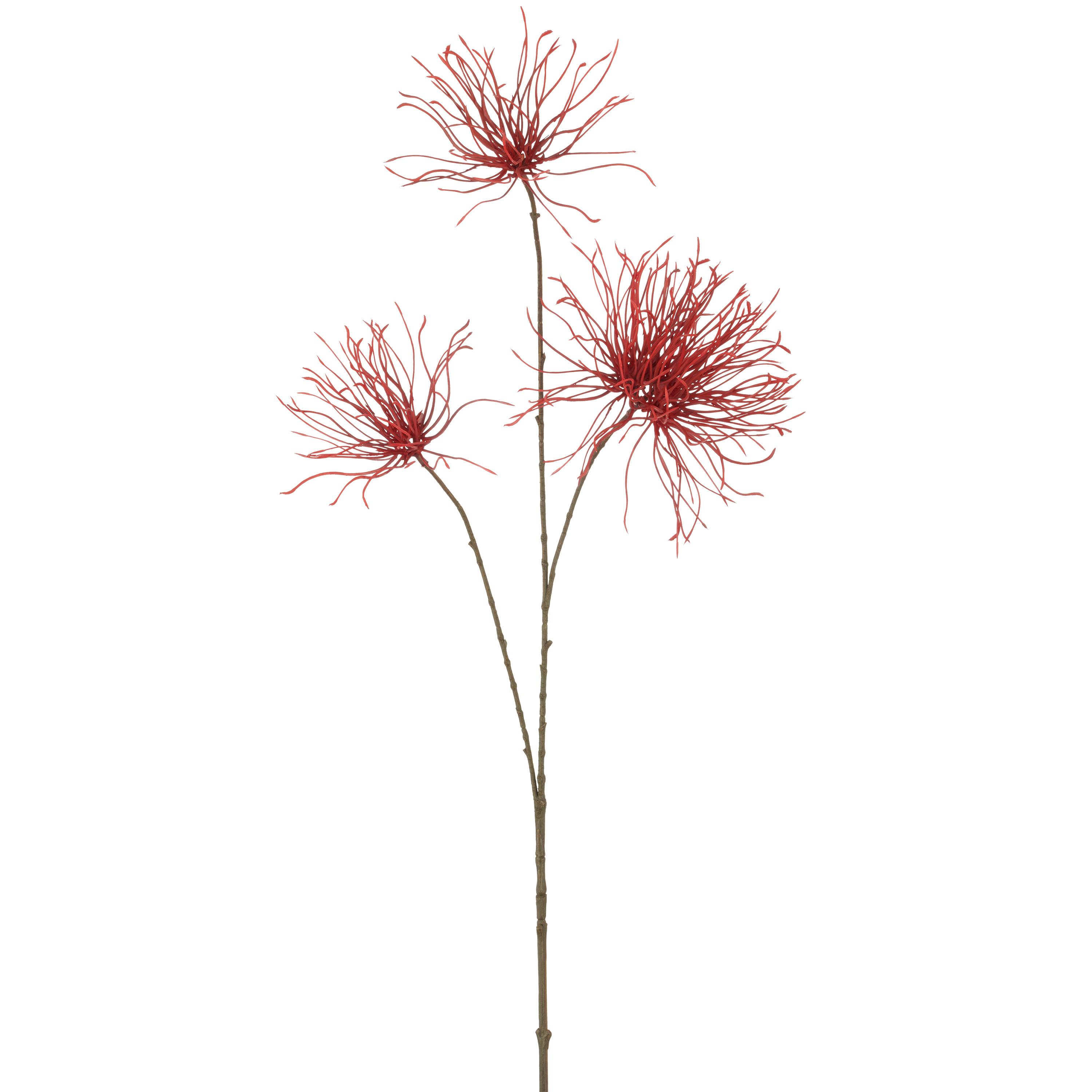 Kunstpflanze Distelzweig I Rot/Braun - Rot/Braun, Basics, Kunststoff (97cm) - Mömax