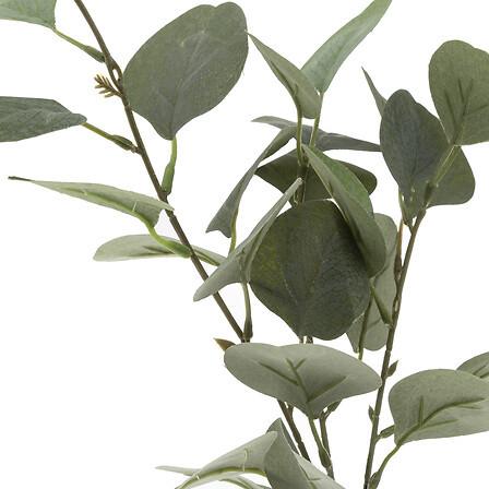 Floare decorativă Eucalyptus - Basics (21/48/21cm)