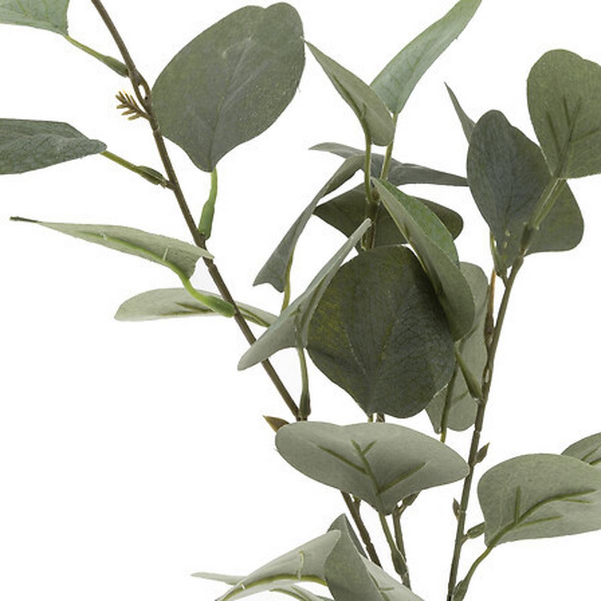 Floare decorativă Eucalyptus - Basics (21/48/21cm)