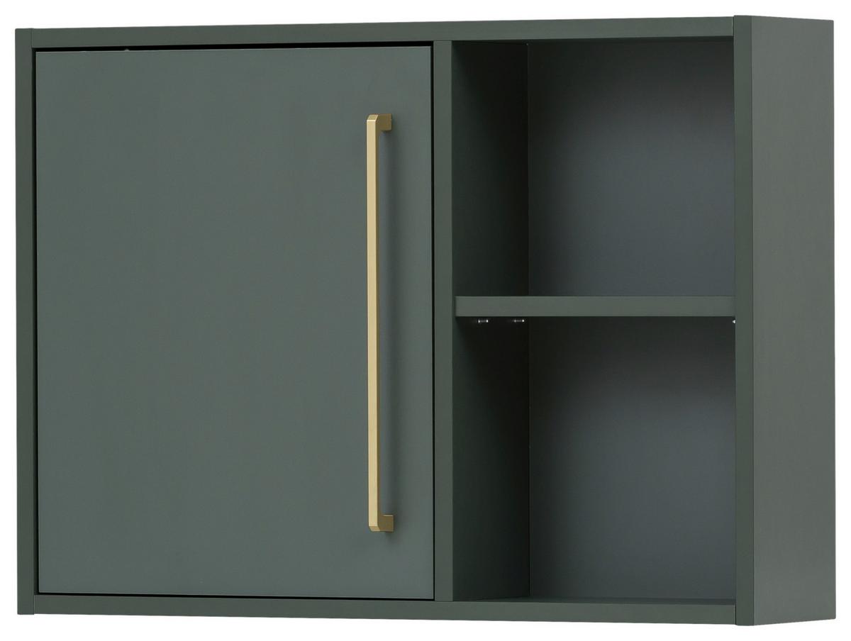 Viseča Omara Kent, Zelena - zlate barve/gozdno zelena, Moderno, kovina/leseni material (66,8/48,4/16cm) - Stylife