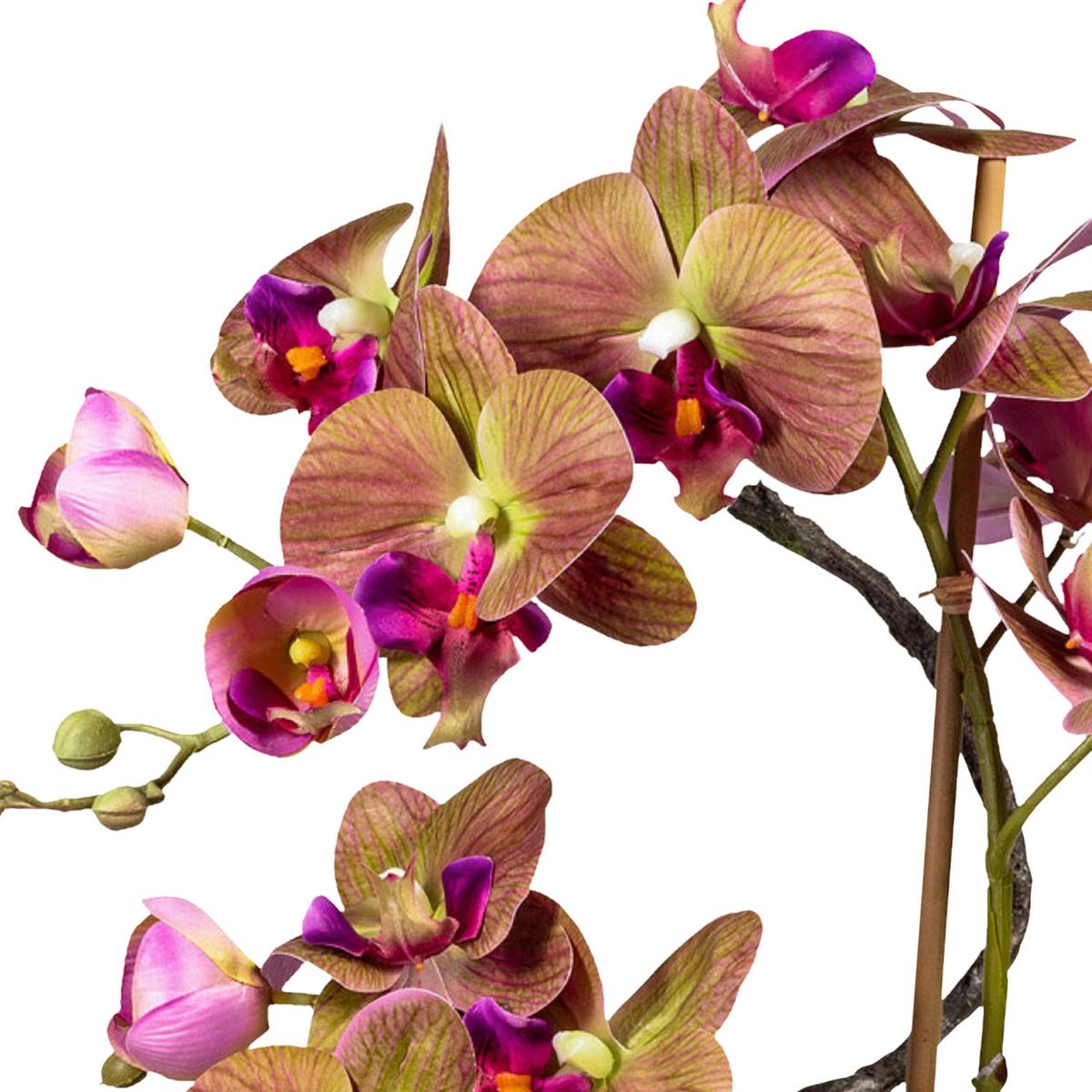 Kunstpflanze Orchideen Grün/Lila - Lila/Braun, Design, Keramik/Kunststoff (70cm)