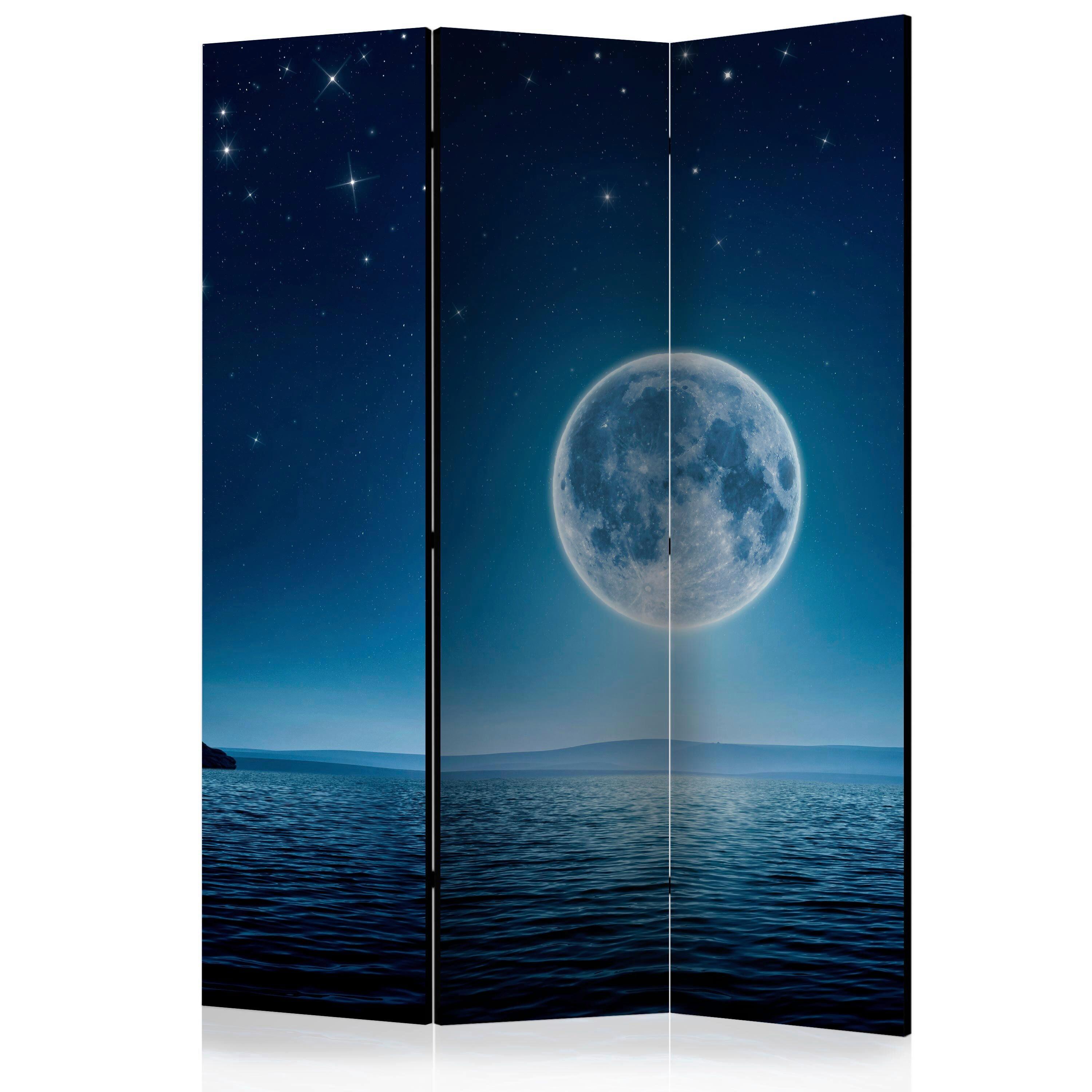 Paravan Moonlit Night, 3-Delni, Dvostranski - svetlo modra/temno modra, Basics, tekstil/les (135/172/3cm) - artgeist