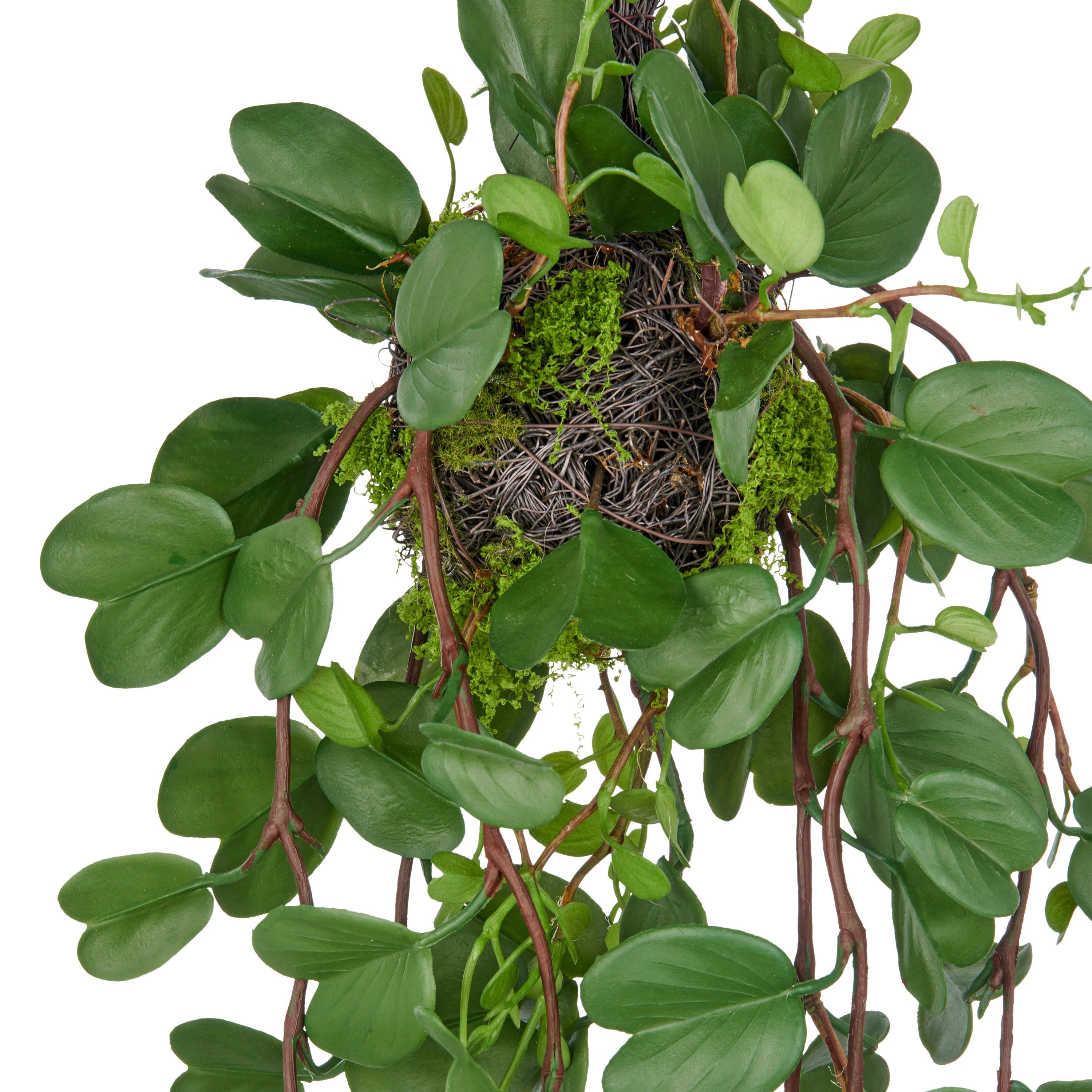 Umetna Rastlina Bauhiniahänger Ii - zelena, Trendi, umetna masa (90cm) - Mömax