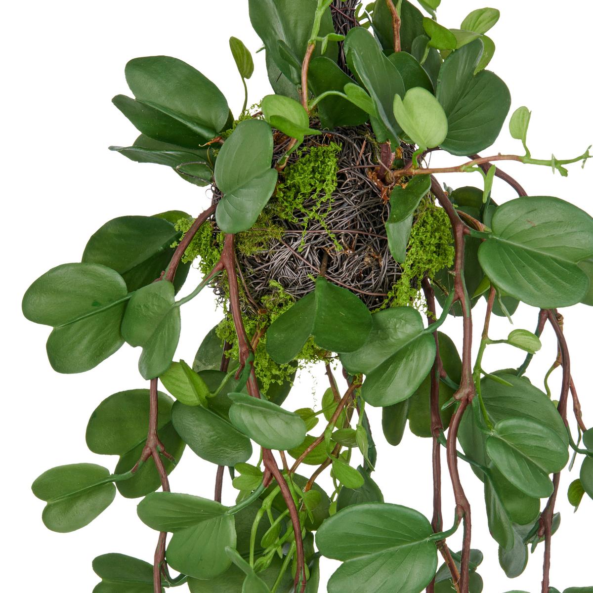 Umetna Rastlina Bauhiniahänger Ii - zelena, Trendi, umetna masa (90cm) - Mömax