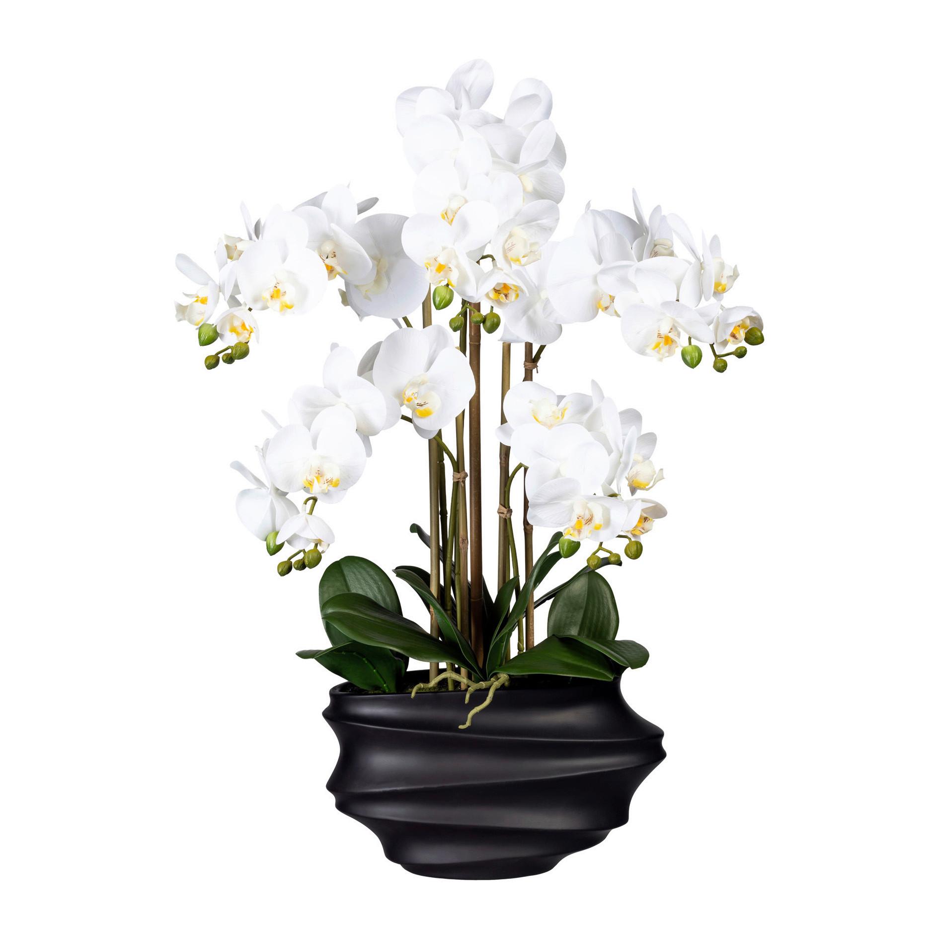 Kunstblume Orchidee, ca. 75cm - Schwarz/Weiß, Trend, Kunststoff (75cm) - P & B