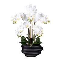 Kunstblume Orchidee, ca. 75cm - Schwarz/Weiß, Trend, Kunststoff (75cm) - P & B