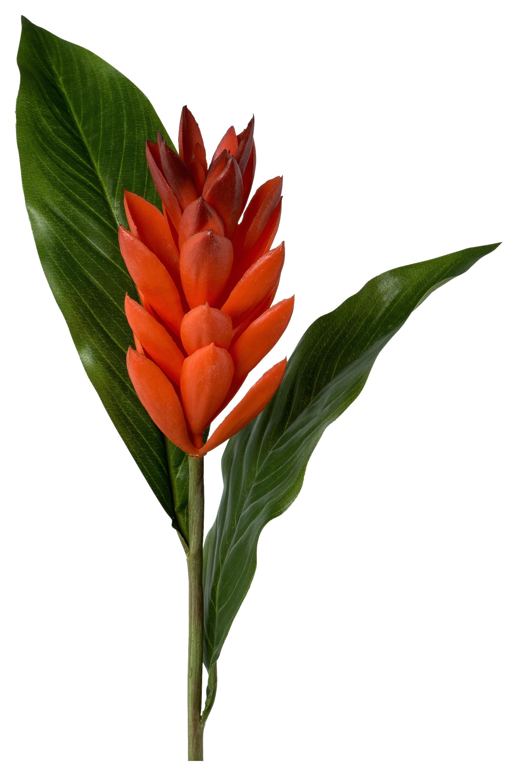 Kunstpflanze Ginger - Orange/Naturfarben, Basics, Kunststoff (89cm) - Modern Living