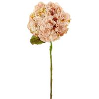 Kunstpflanze Hortensie I Rosa - Rosa/Braun, Basics, Kunststoff (64cm) - Mömax