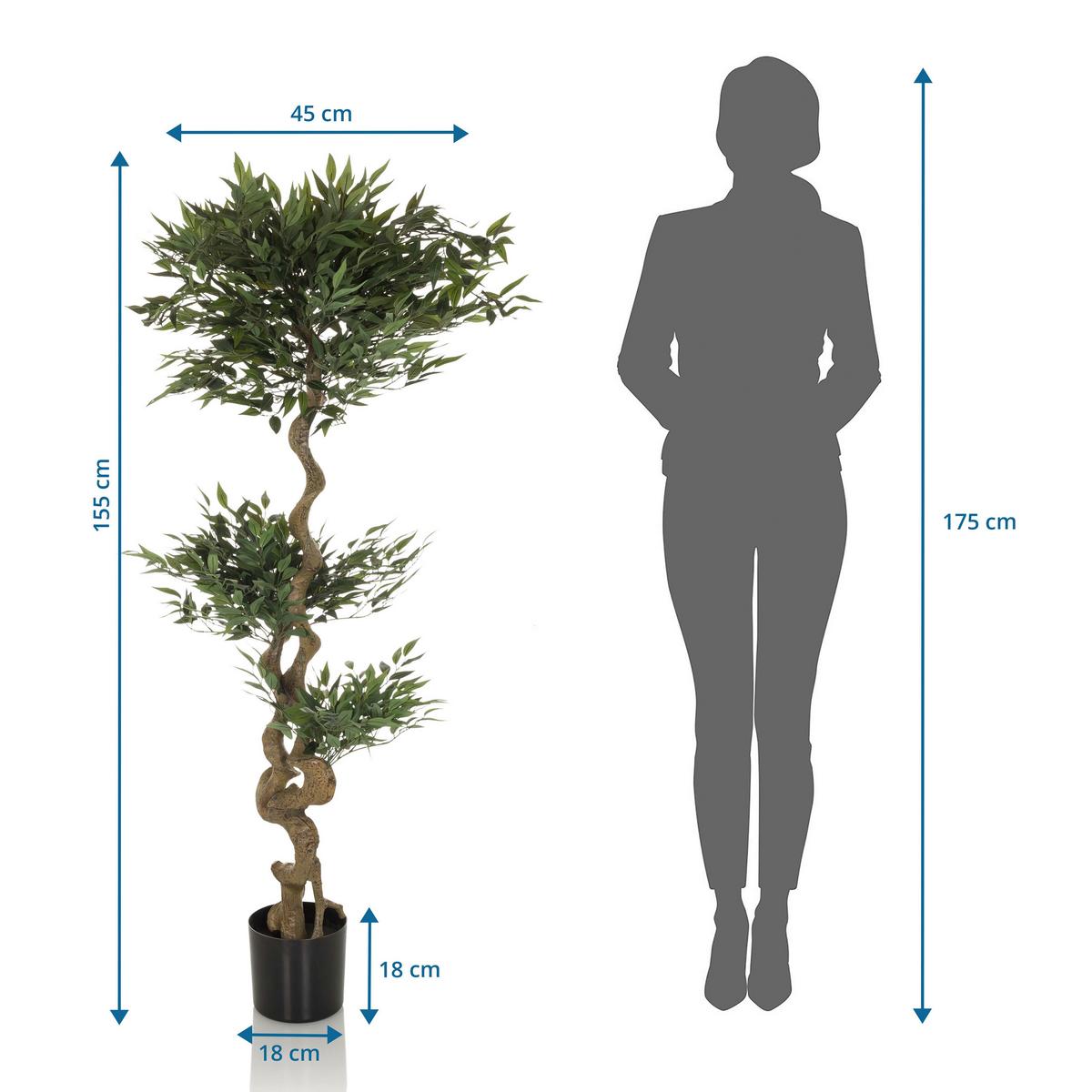 Umetna Rastlina Acacia - črna/zelena, Basics, umetna masa/tekstil (45/155/45cm) - MID.YOU