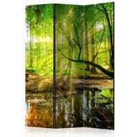 Paravan Forest Stream, 3-Delni, Enostranski - rumena/zelena, Basics, tekstil/les (135/172/3cm) - artgeist