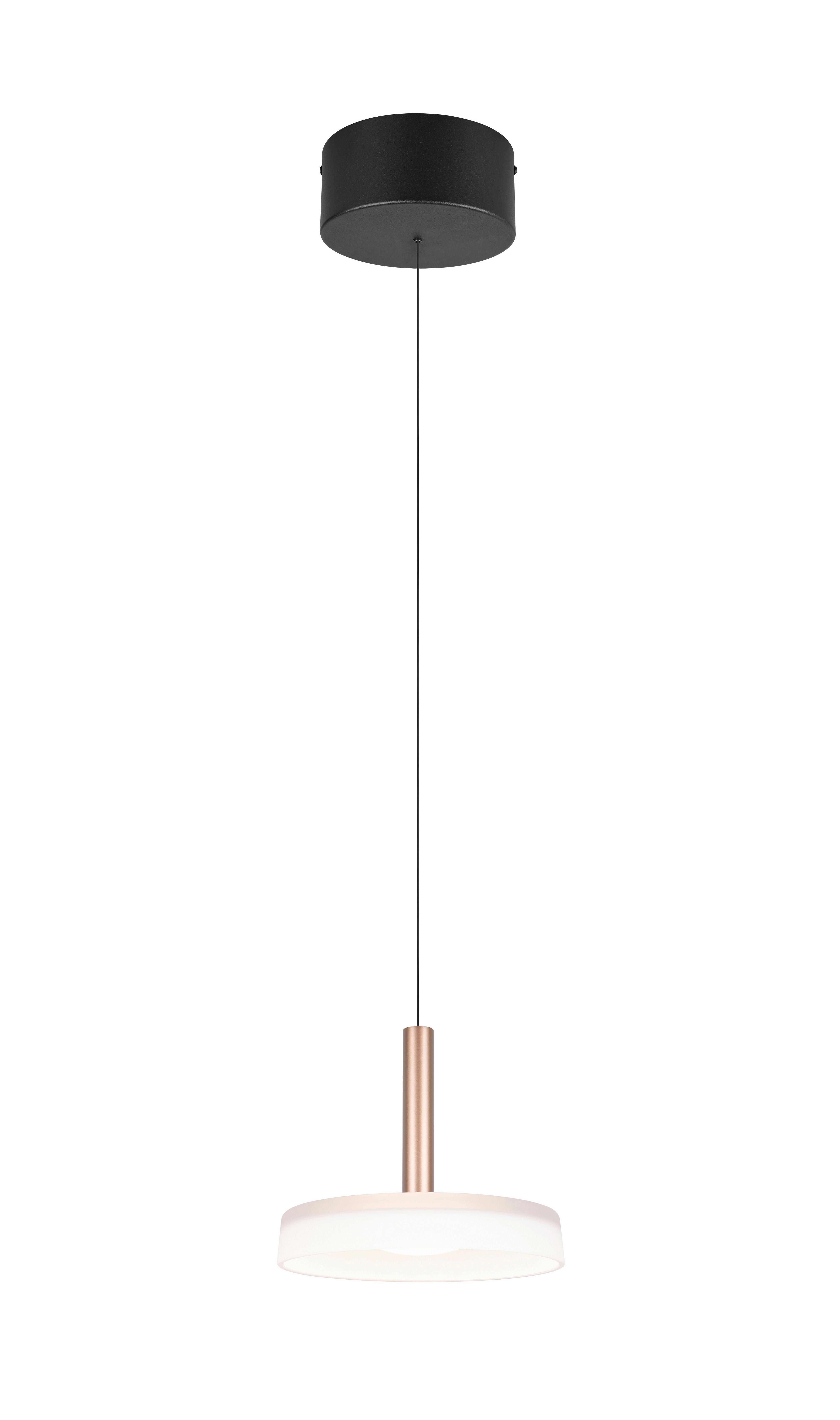 LAMPA ZWIESZANA LED 354910165 CELESTE - biały/brązowy, Design, metal/szkło (22/200cm) - Trio Leuchten