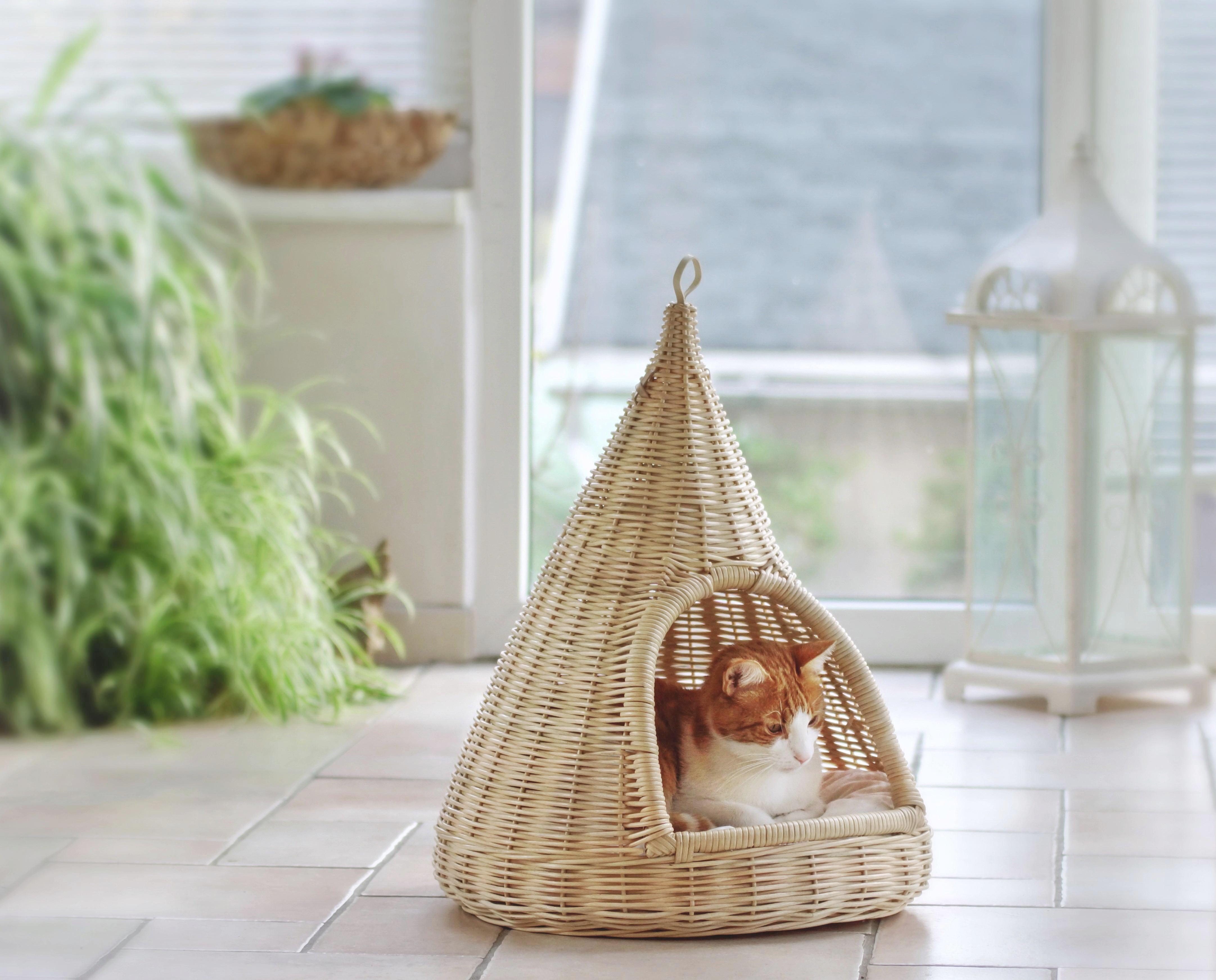 Tierhaus in Natur inkl. Kissen ca. 45x45x55 cm - Beige/Naturfarben, LIFESTYLE, Naturmaterialien (45/45/55cm)