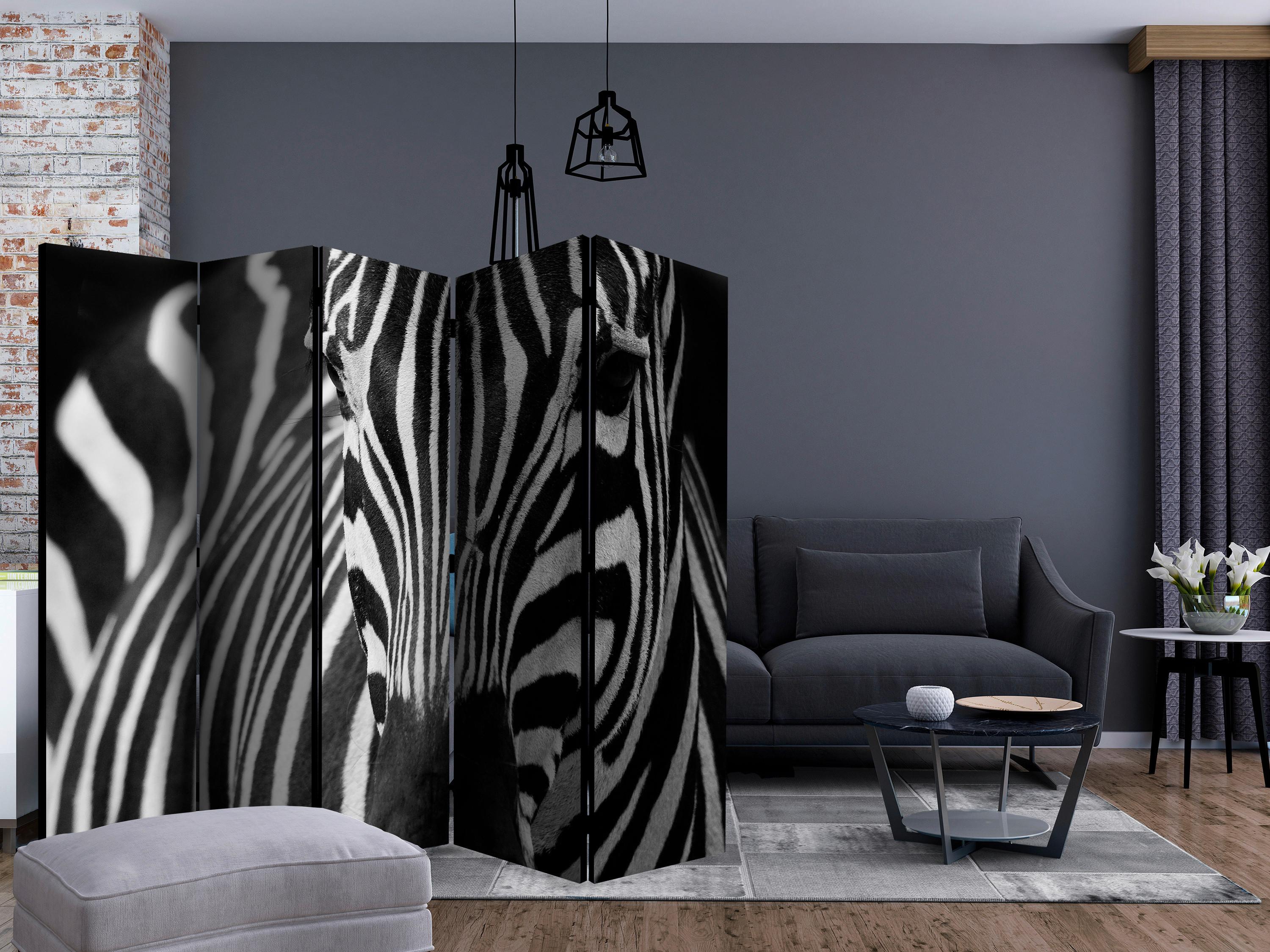 Paravan Zebra I, 5-Delni, Dvostranski - črna/bela, Basics, tekstil/les (225/172/3cm) - artgeist