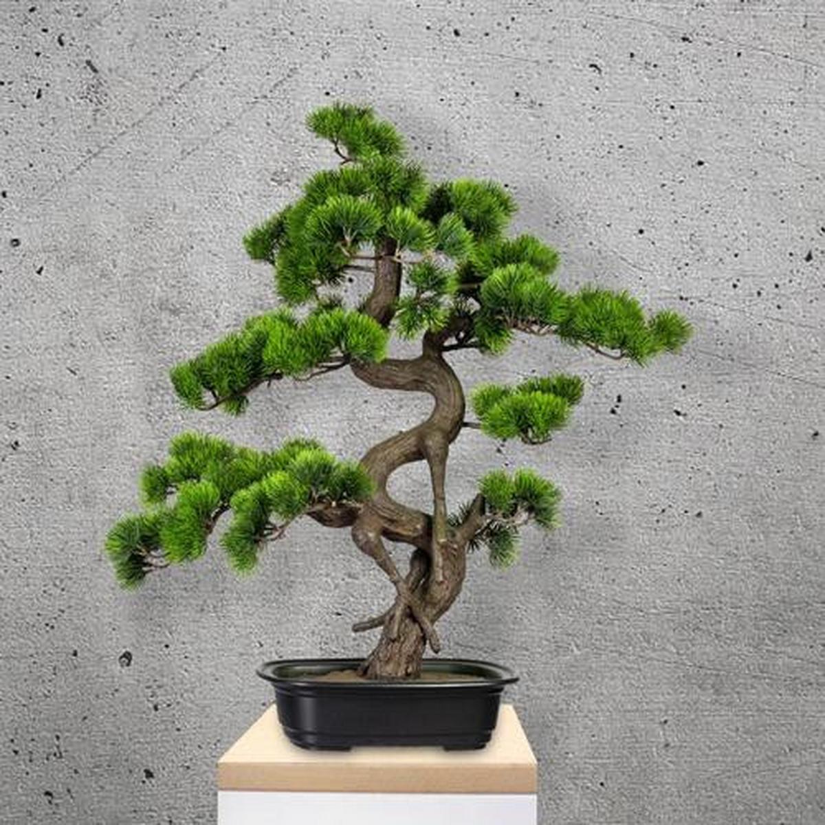Kunstpflanze Bonsai ca. 65cm - Schwarz/Braun, Basics, Kunststoff (50/65cm) - P & B