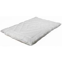 Winterduvet Dreamium - Weiss, Kunststoff (160/210cm) - Premium Living