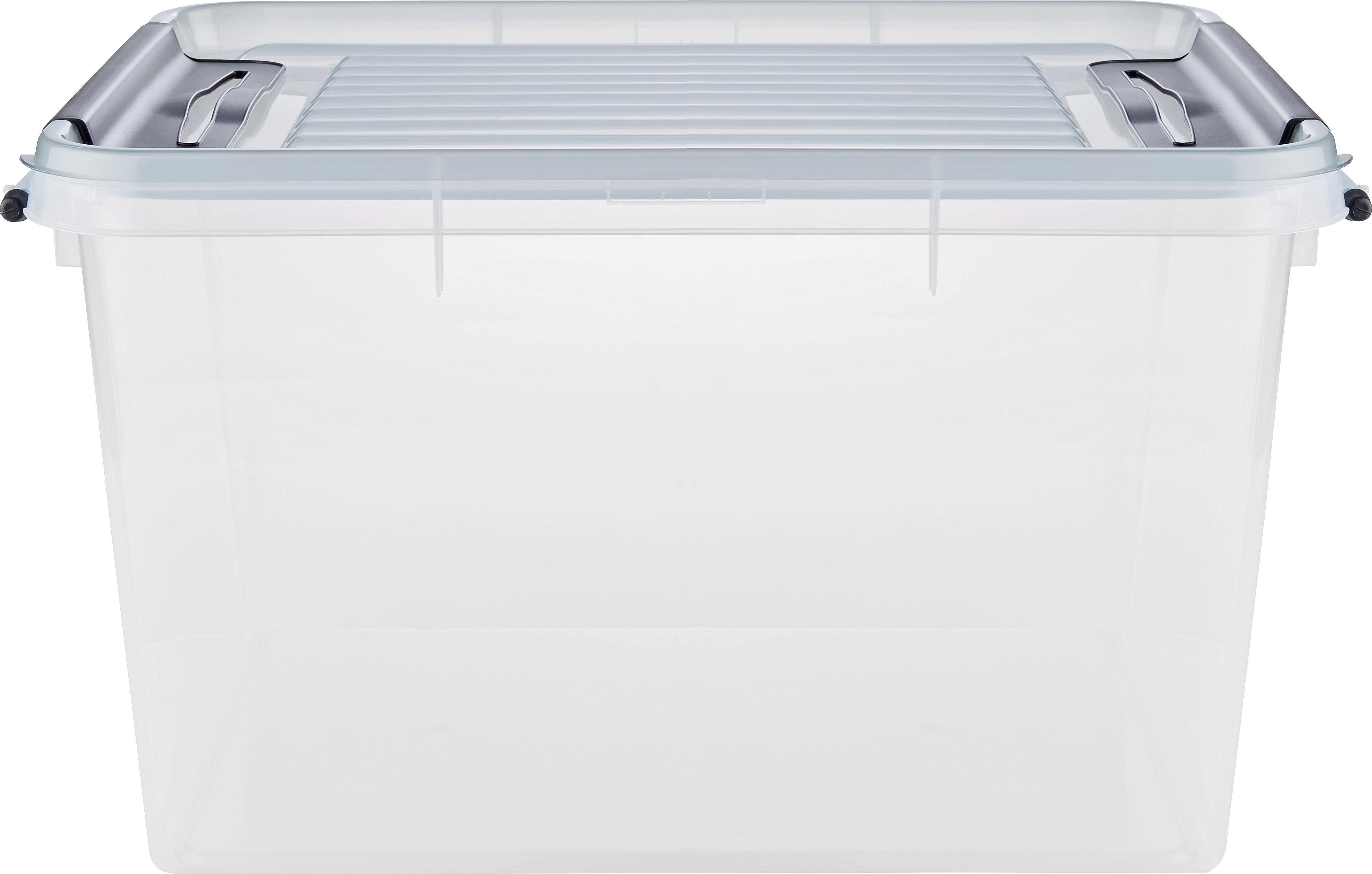 Box mit Deckel Sigfried Transparent - Transparent, Kunststoff (46/36/24cm)