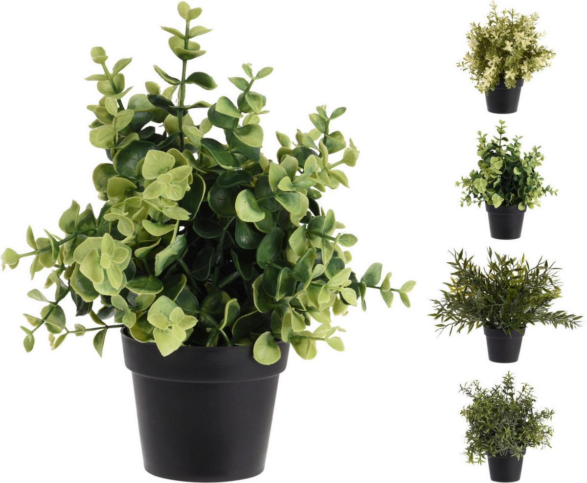Műnövény Kaspóban Green - műanyag (24/24/23cm)