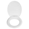 Deska Za Wc-školjko Sand -sb- - večbarvno, Moderno, umetna masa (37,5/44/5cm)