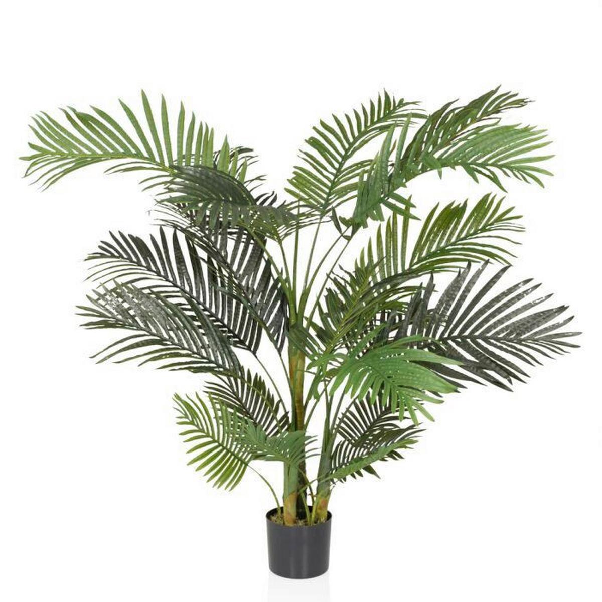 Umetna Rastlina Areca Ii - črna/zelena, Moderno, umetna masa (64/150/60cm) - MID.YOU