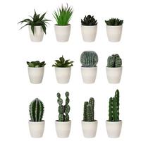 Műnövény Plantsy - műanyag (10/10/23cm)