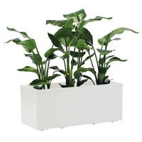 Blumenkasten Weiß - Weiß, Basics, Kunststoff (99,5/39,5/39,5cm)