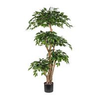 Kunstfplanze Grünpflanzen Grün - Schwarz/Braun, Basics, Kunststoff (170cm) - P & B