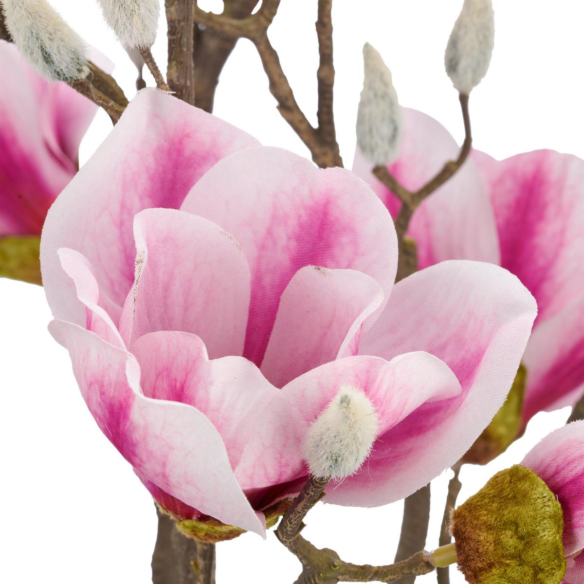 Magnolie Rosa ca. 65cm - Rosa/Braun, Basics, Kunststoff/Textil (65cm) - Mömax