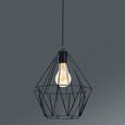 Hängeleuchte Skeletton, max. 60 Watt - Schwarz, Metall (30/110cm) - MÖMAX modern living