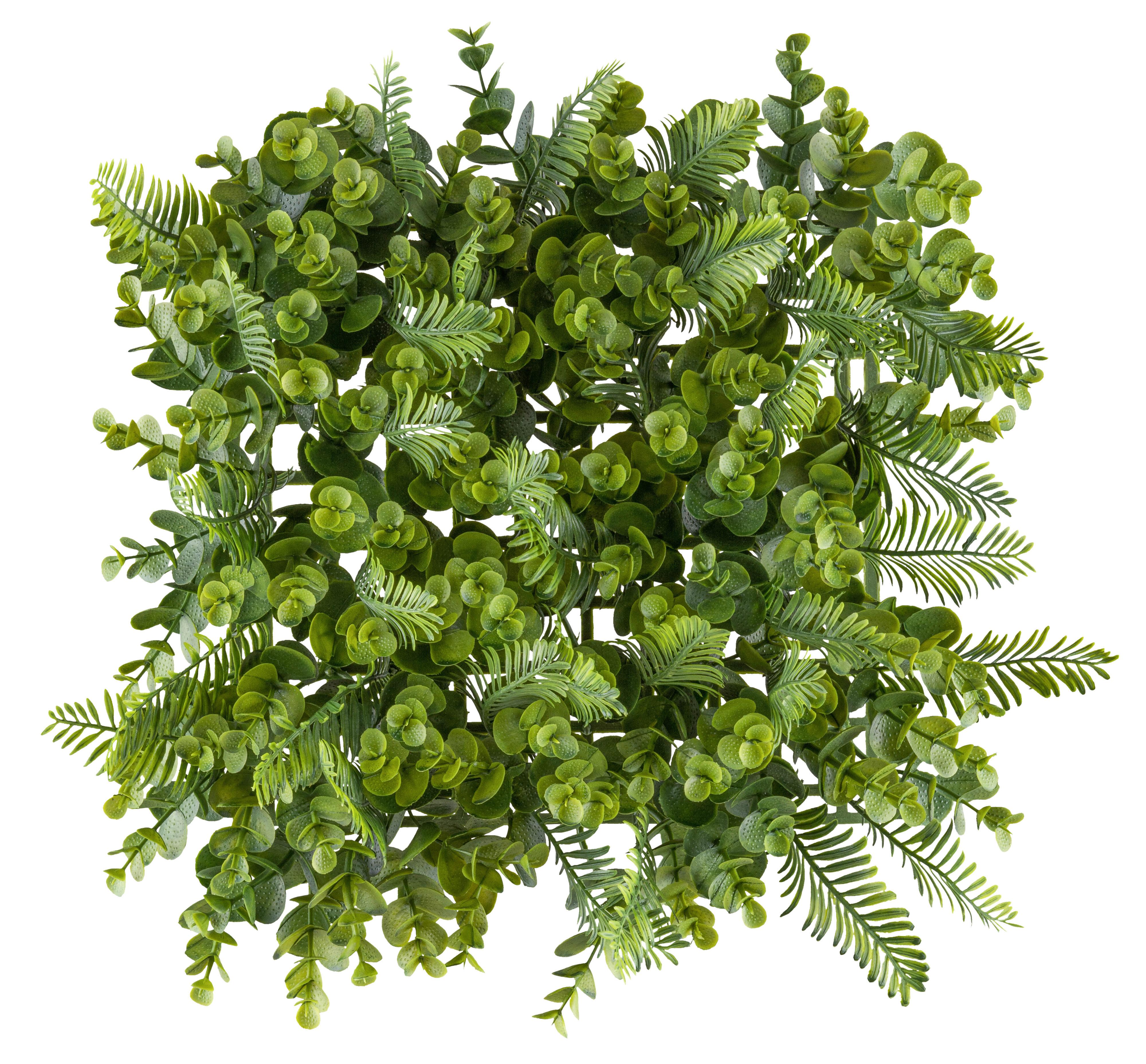 Kunstpflanze Wandmatte II Grün ca. 25x25cm - Grün, KONVENTIONELL, Kunststoff (25/25cm) - Mömax