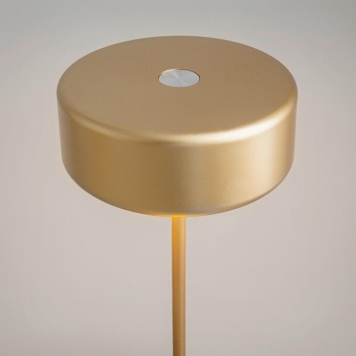 AKKU-TISCHLEUCHTE AI COLLABORATION - Goldfarben, Design, Metall (12/34,5cm) - MAYTONI