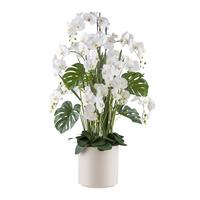 Kunstpflanze Orchideen Grün/Weiß - Creme/Weiß, Design, Kunststoff (140cm) - P & B