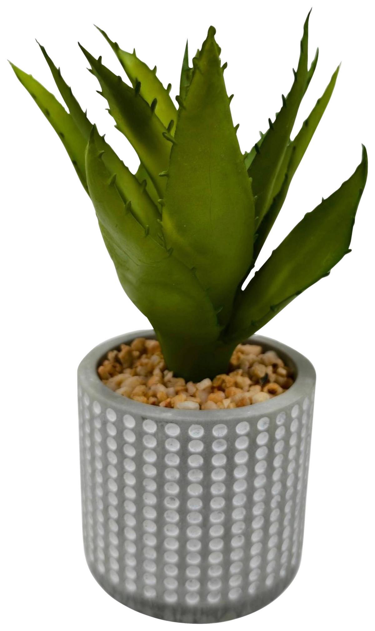 Biljka Umjetna Megi - siva/zelena, Moderno, kamen/plastika (9,5/18cm) - Mömax