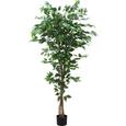 Umetna Rastlina Fiki - zelena/rjava, umetna masa/tekstil (180cm) - Mömax modern living Umetna Rastlina Fiki - zelena/rjava, umetna masa/tekstil (180cm) - Mömax modern living
