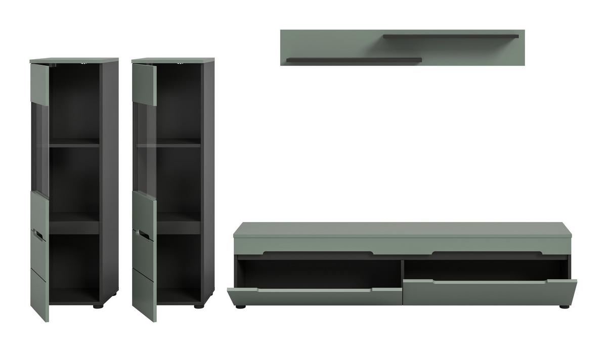 Dnevni Regal Canu, Sivozelena, 4-Delni - črna, Design, umetna masa/leseni material (272/141/33cm) - Livetastic