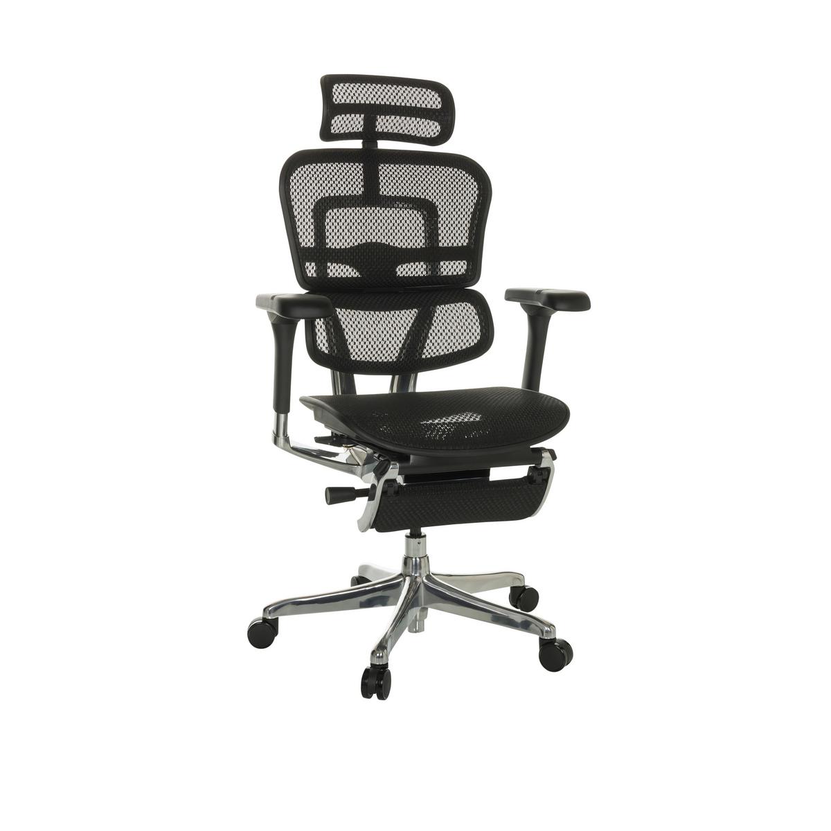 Pisarniški Stol Ergohuman Plus Legpro I, Črna - črna/siva, Basics, kovina/umetna masa (68/118-141/64cm) - MID.YOU
