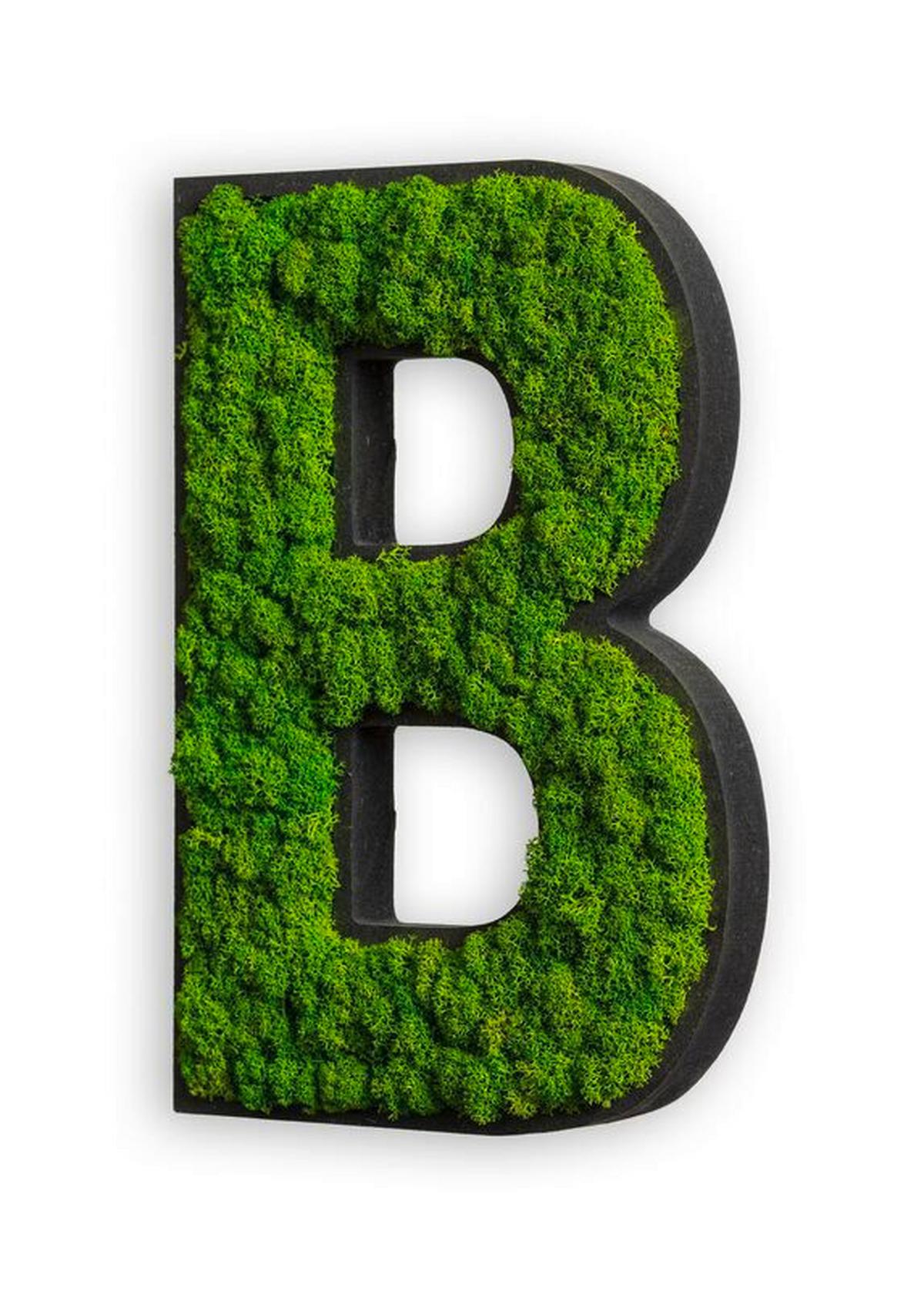 Moosbild Buchstabe Grün - Schwarz/Grün, Basics, Naturmaterialien/Holz (12-20/25/3,5cm)